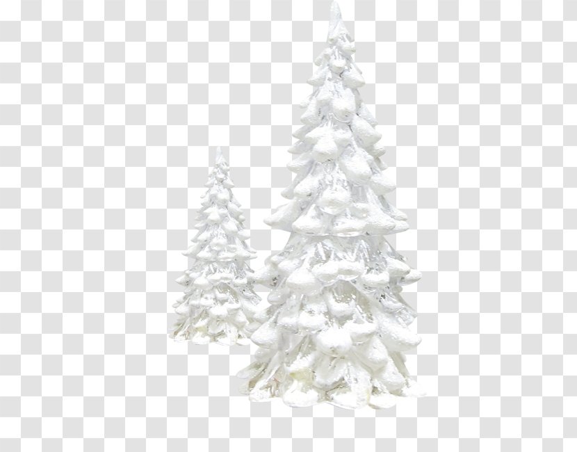 Pine Christmas Tree Winter - Cedar Transparent PNG