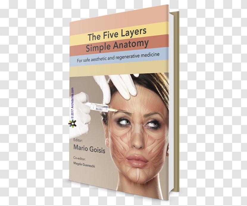 The Five Layers Simple Anatomy: For Safe Aesthetic And Regenerative Medicine Mario Goisis Eyebrow Botulinum Toxin - Muscle - Face Anatomy Transparent PNG