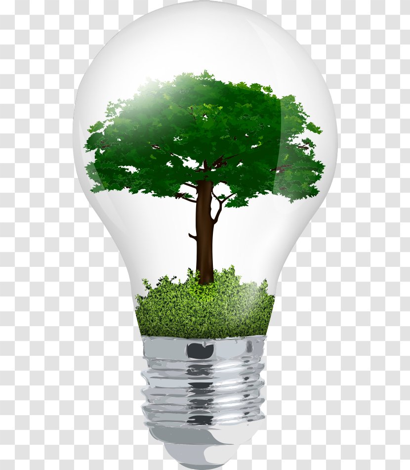 Incandescent Light Bulb Euclidean Vector Tree - Digital Image - In The Transparent PNG