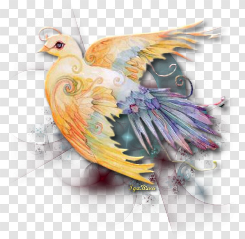 Feather Friendship - Wing Transparent PNG