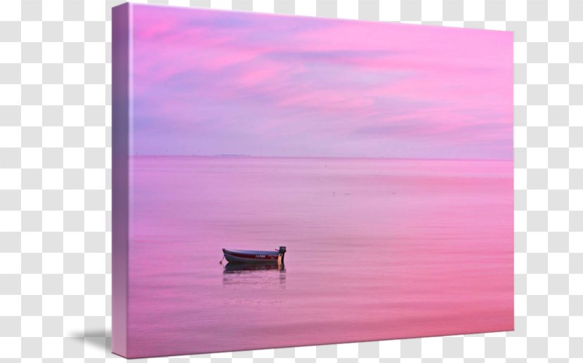 Picture Frames Rectangle Pink M Sky Plc - Magenta - Cape Cod Ymca Transparent PNG