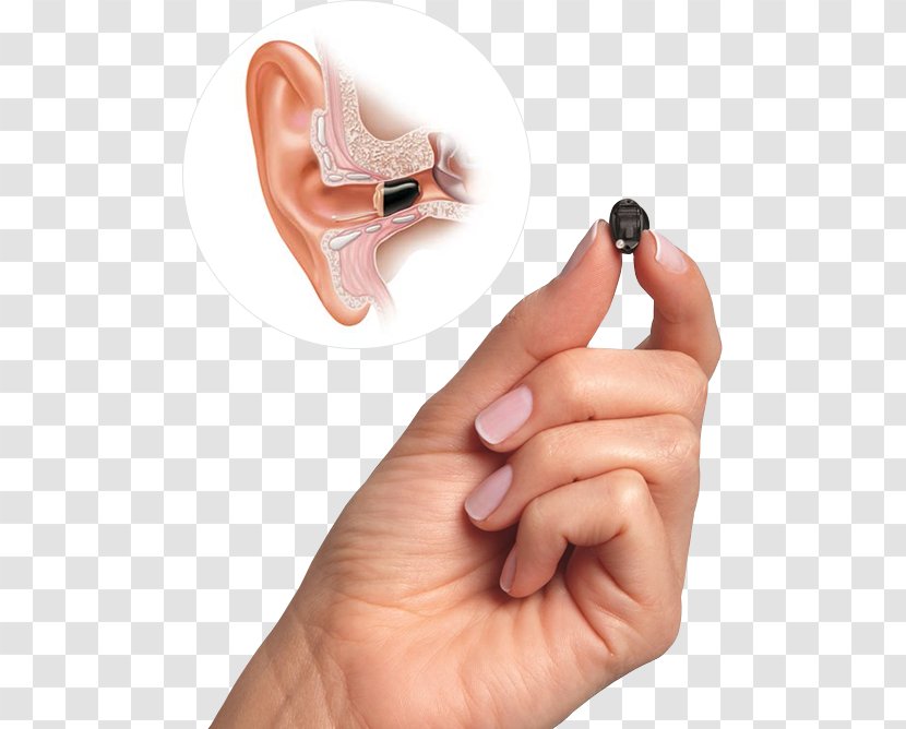 Primary Audiology Hearing Aid - Ear Transparent PNG