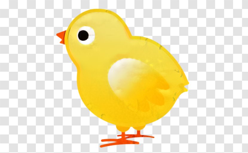 Chicken Cartoon - Beak - Bath Toy Rubber Ducky Transparent PNG