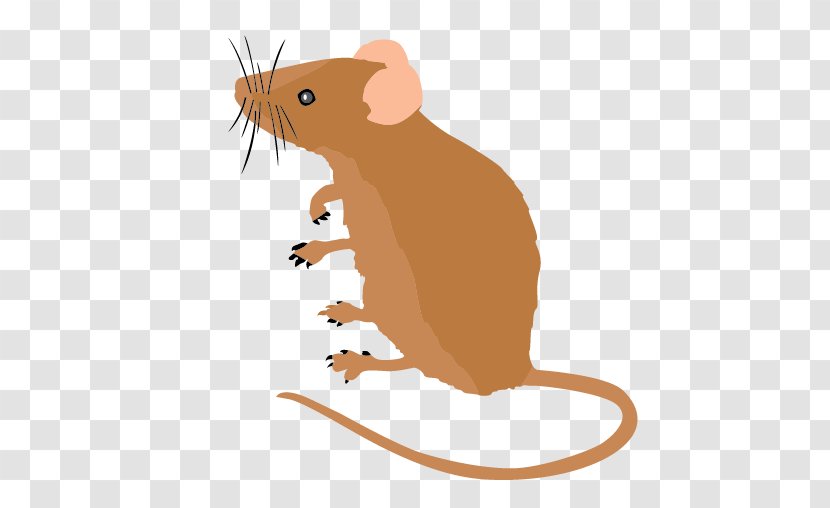 Computer Mouse Mickey Clip Art - Organism Transparent PNG