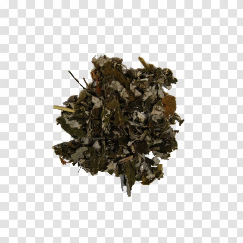 Red Raspberry Leaf Vegetable Herbal Tea Transparent PNG