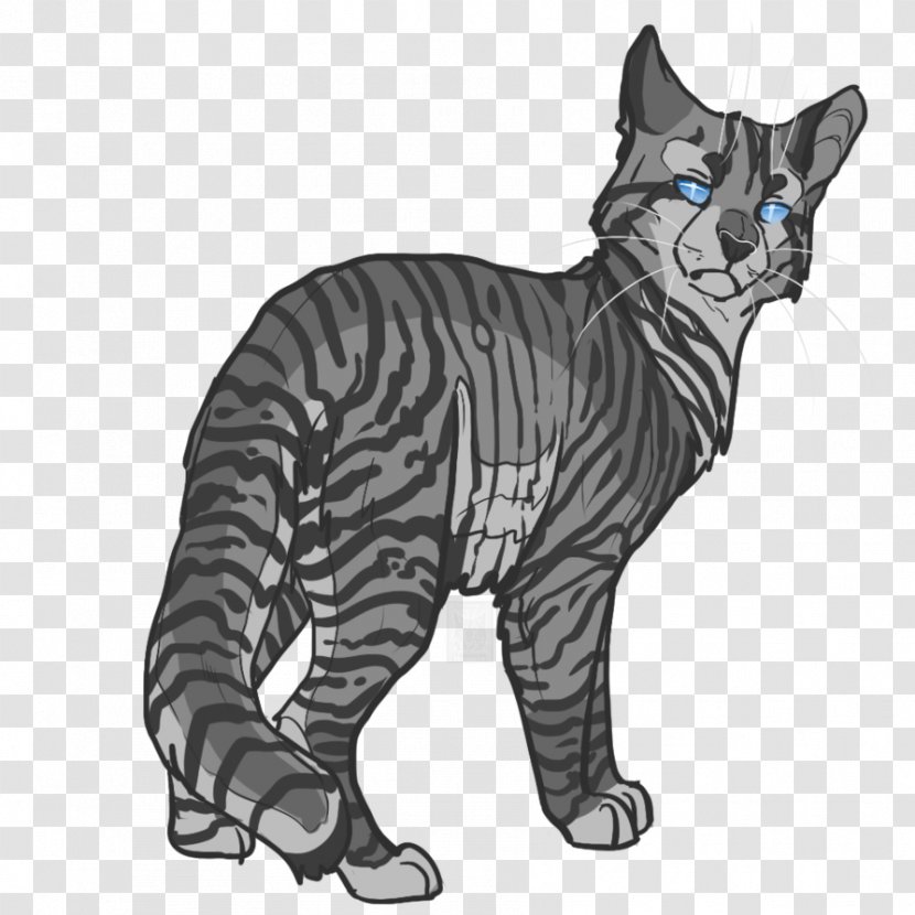 Toyger Manx Cat Whiskers Tiger Tabby - Tail Transparent PNG