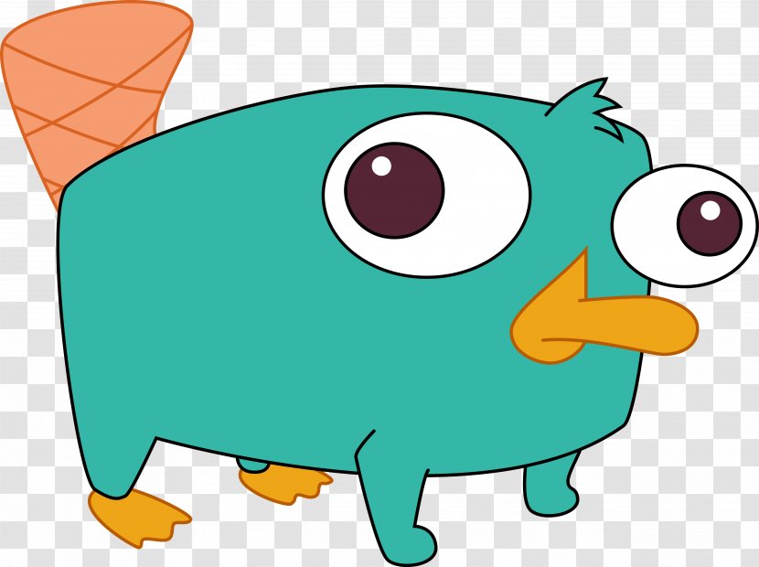 Perry The Platypus Phineas Flynn Ferb Fletcher Child Transparent PNG