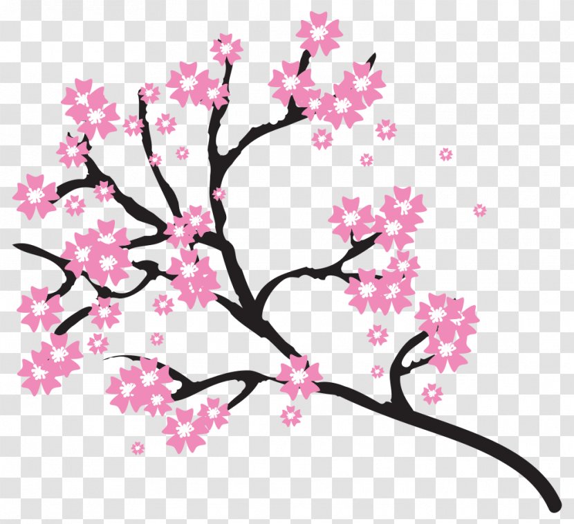 Cherry Blossom Clip Art - Plant Stem Transparent PNG