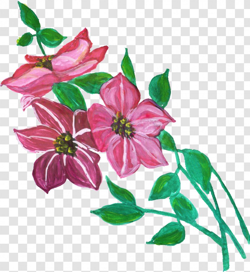 Watercolor Pink Flowers - Leaf - Clematis Magnolia Transparent PNG