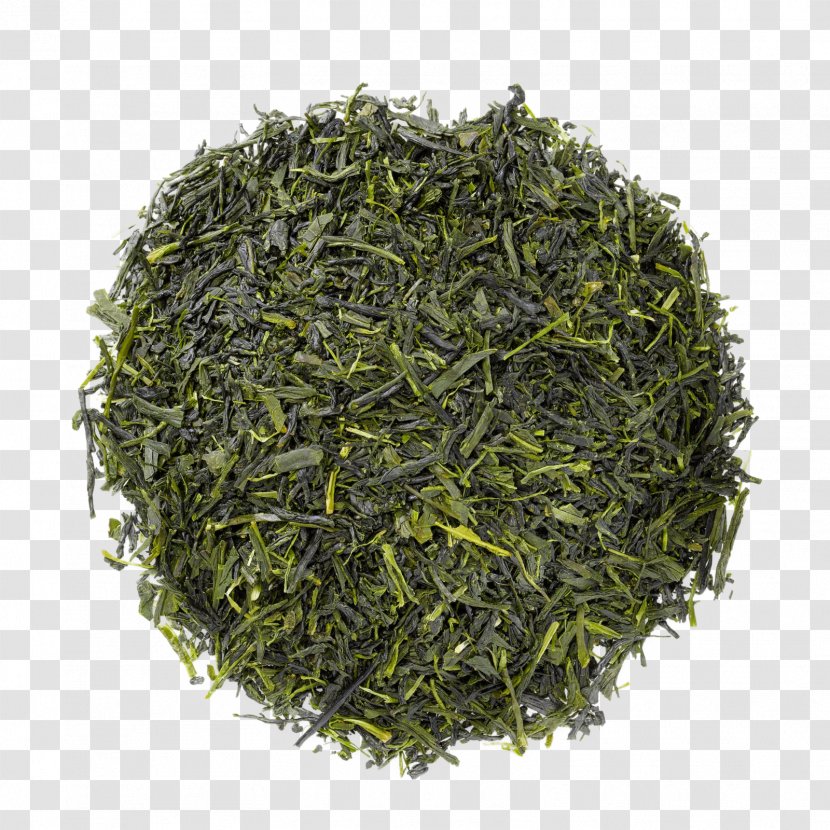 Landscape Architecture Nilgiri Tea Gyokuro Transparent PNG