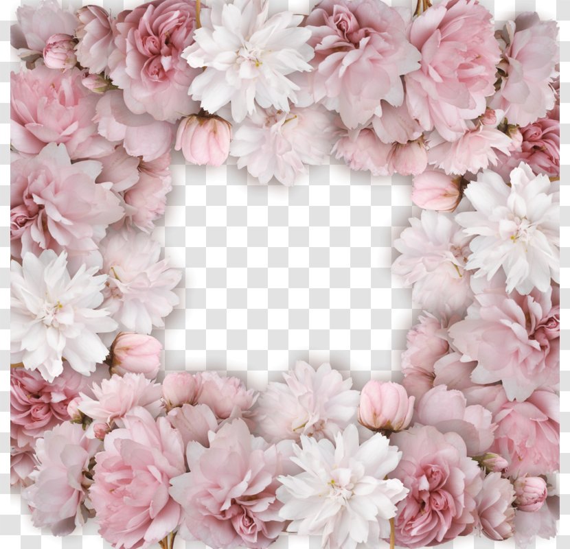 National Cherry Blossom Festival - Pink Decoration Transparent PNG