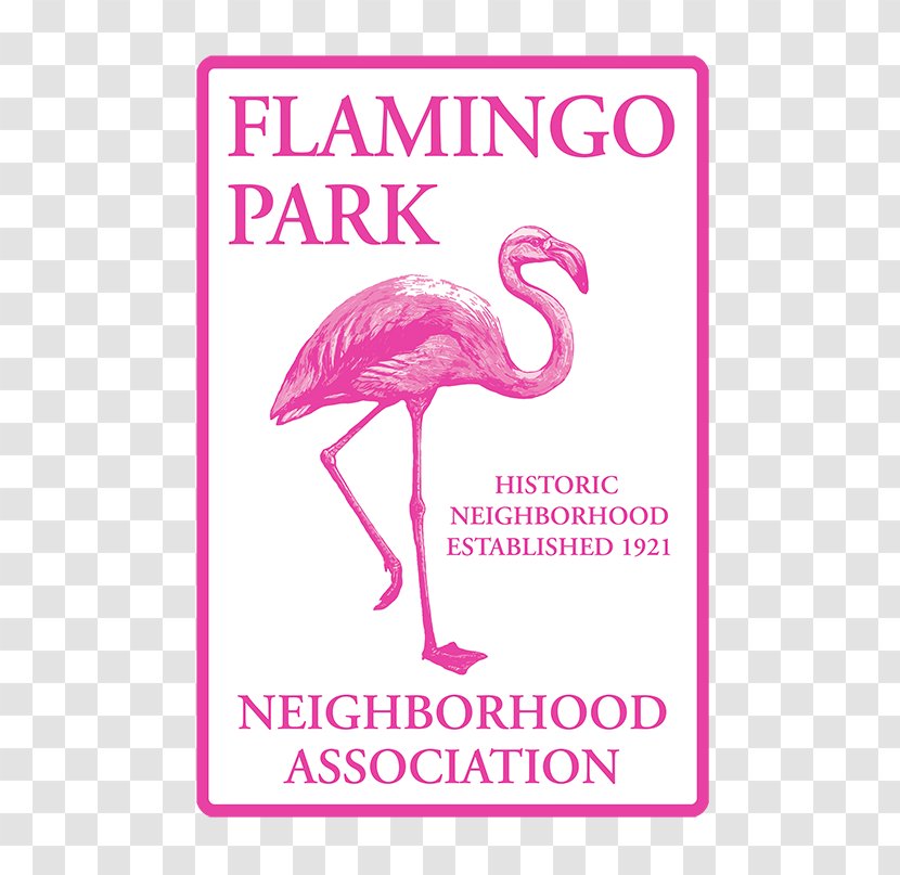 Il Fenicottero Beak Greater Flamingo Bird Animal - Flamingos Transparent PNG