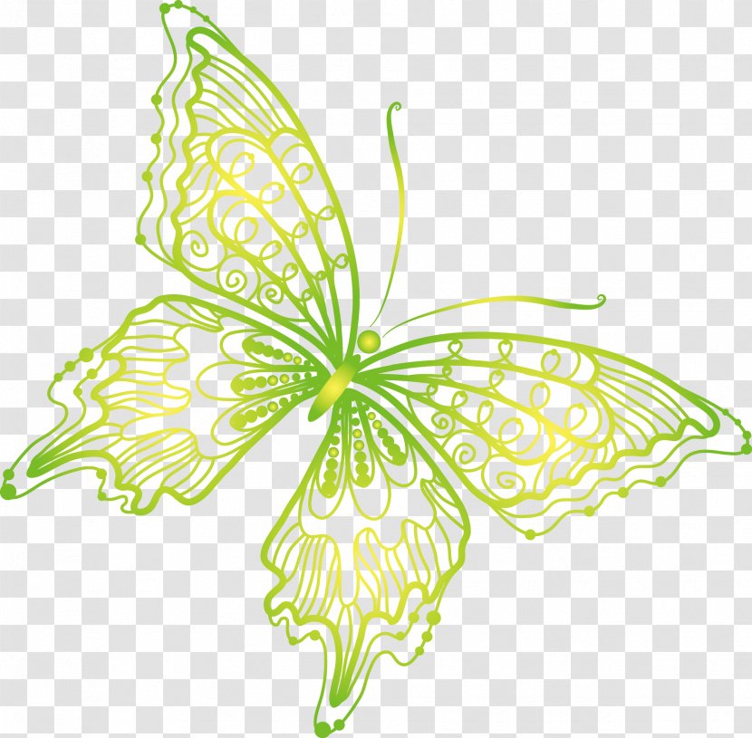 Monarch Butterfly - Symmetry - Blue Vector Picture Material Transparent PNG