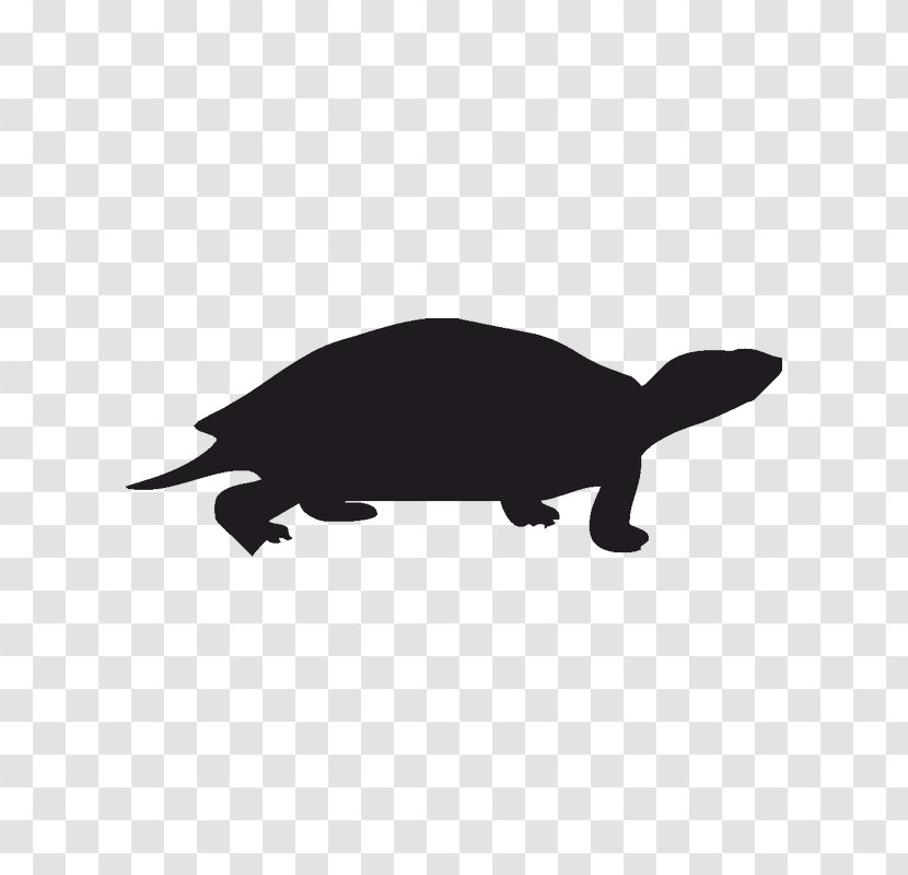 Sea Turtle Silhouette - Carnivoran Transparent PNG