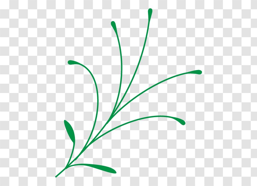 Leaf Clip Art Plant Stem Flower Grasses - Green - Organism Transparent PNG