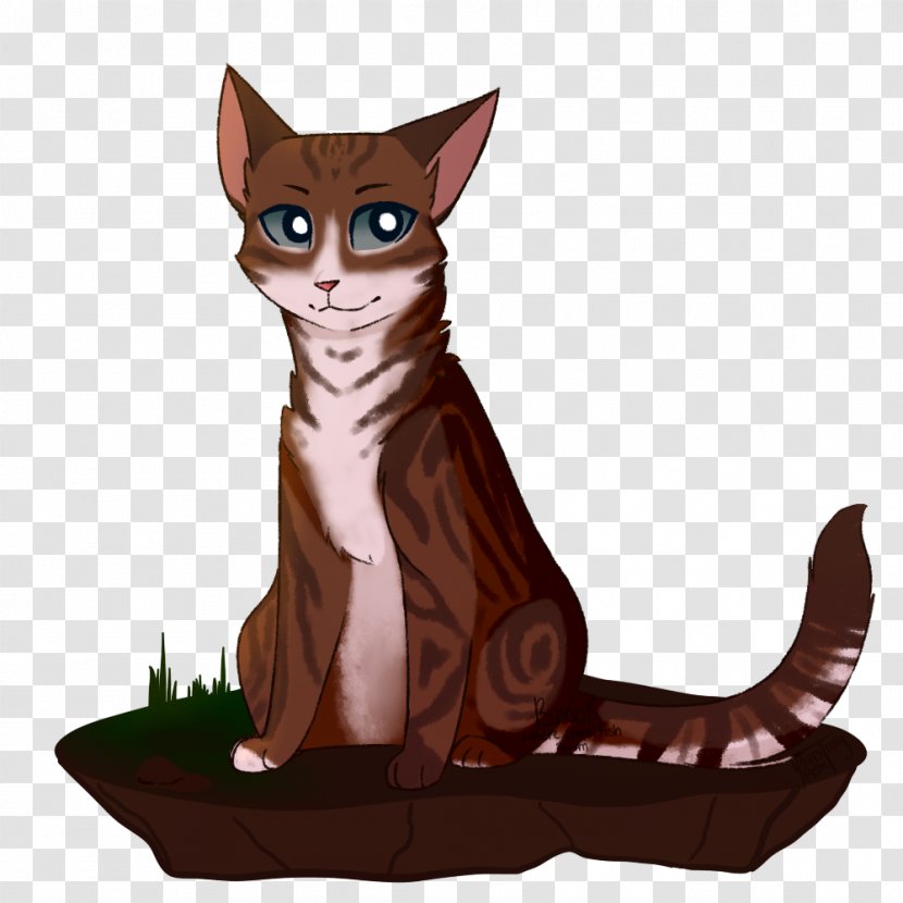 Kitten Whiskers Tabby Cat Warriors - Carnivoran - Cool Gray Transparent PNG
