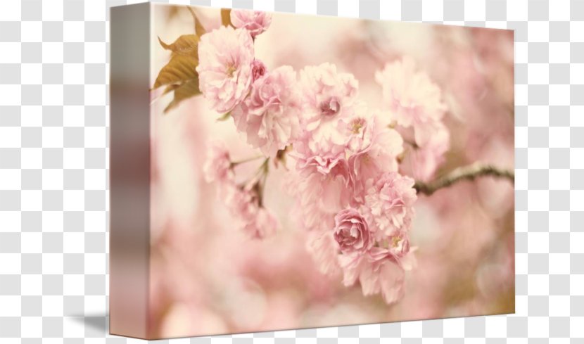 Floral Design Flower Bouquet Tablou Canvas Petal - Floristry - Cherry Blossom Petals Transparent PNG