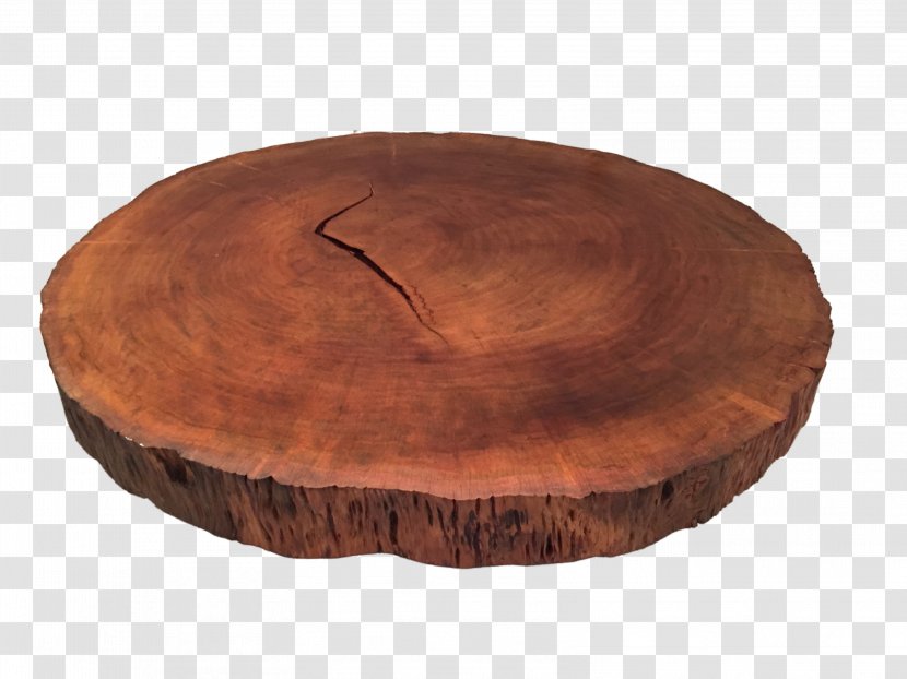 Table Wood Trunk Tree Ceramic - Centrepiece - Madeira Transparent PNG