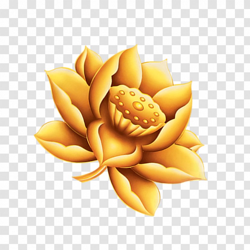 Gold Clip Art - Green - Golden Lotus Free To Pull The Material Transparent PNG
