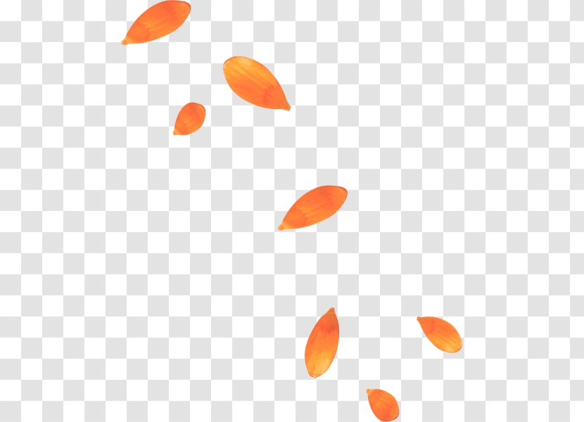 Petal Yellow Orange - Google Images - Red Leaf Composition Transparent PNG