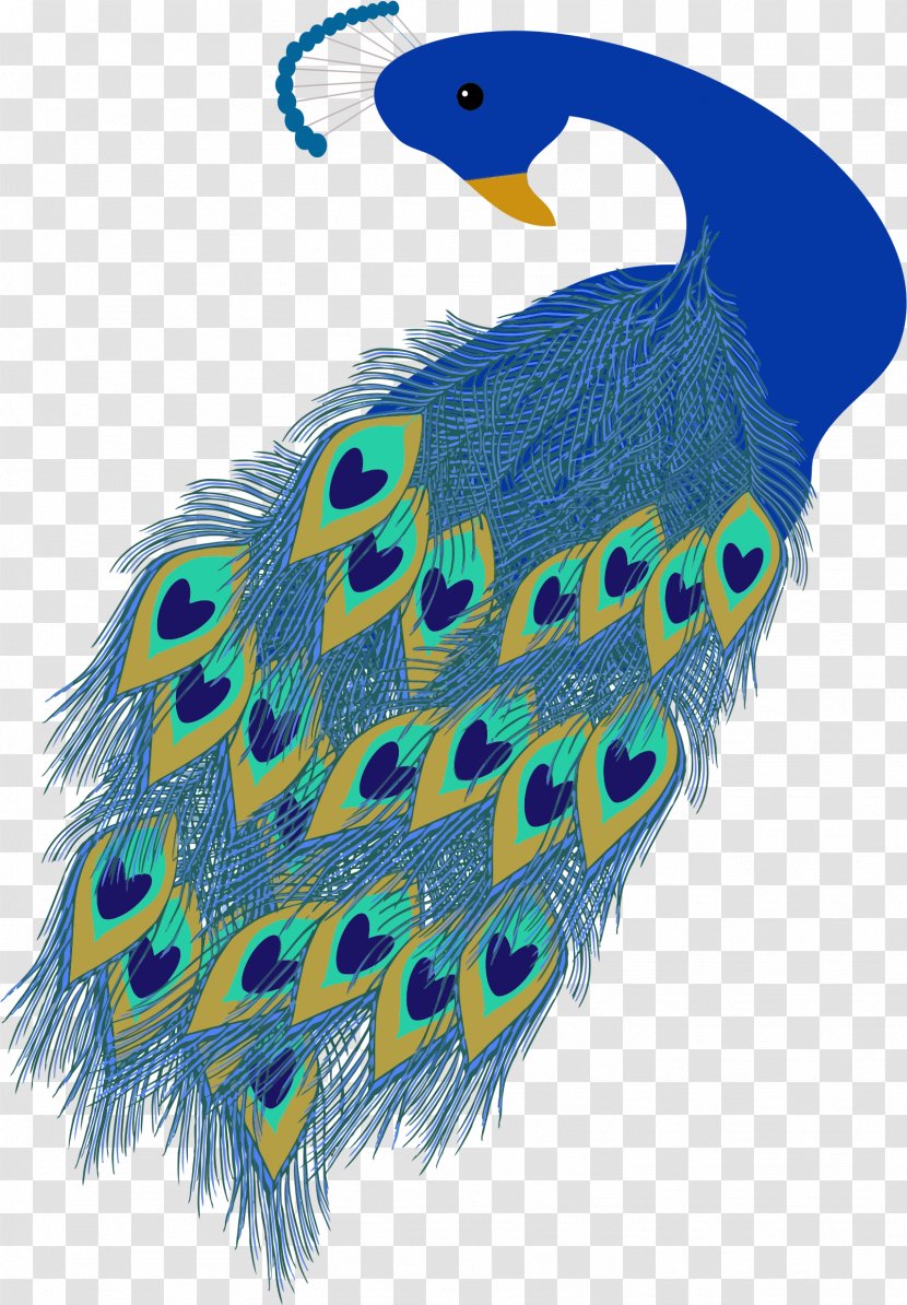 Peafowl Clip Art - Feather - Peacock Transparent PNG
