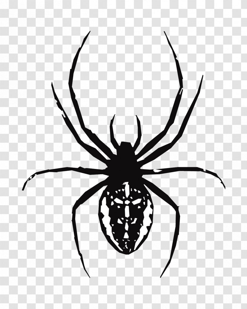 Spider Web Southern Black Widow Clip Art - Insect Transparent PNG