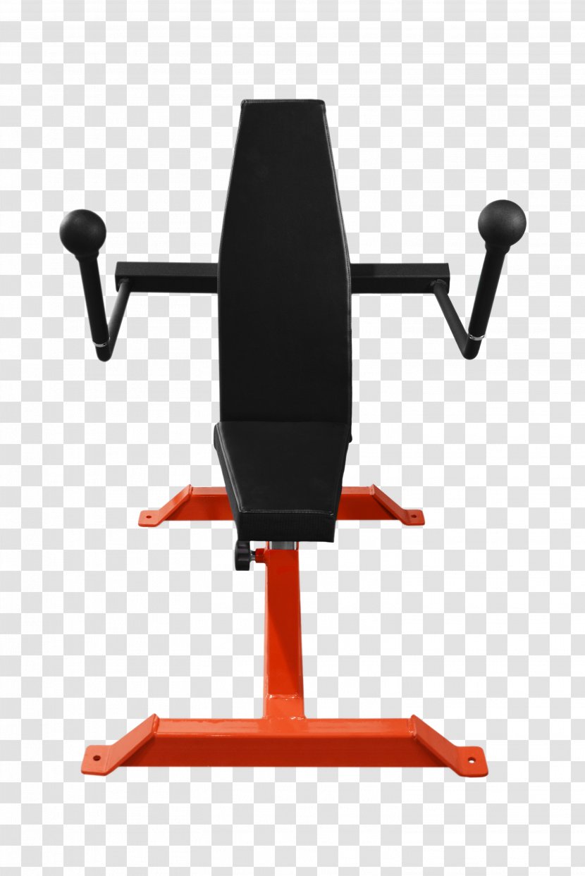 Exercise Machine Strength Training Physical Fitness Weight - Flower - Cartoon Transparent PNG