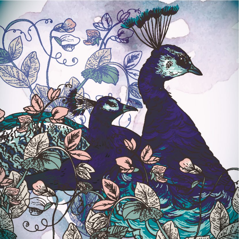 Asiatic Peafowl Watercolor Painting - Peacock Transparent PNG