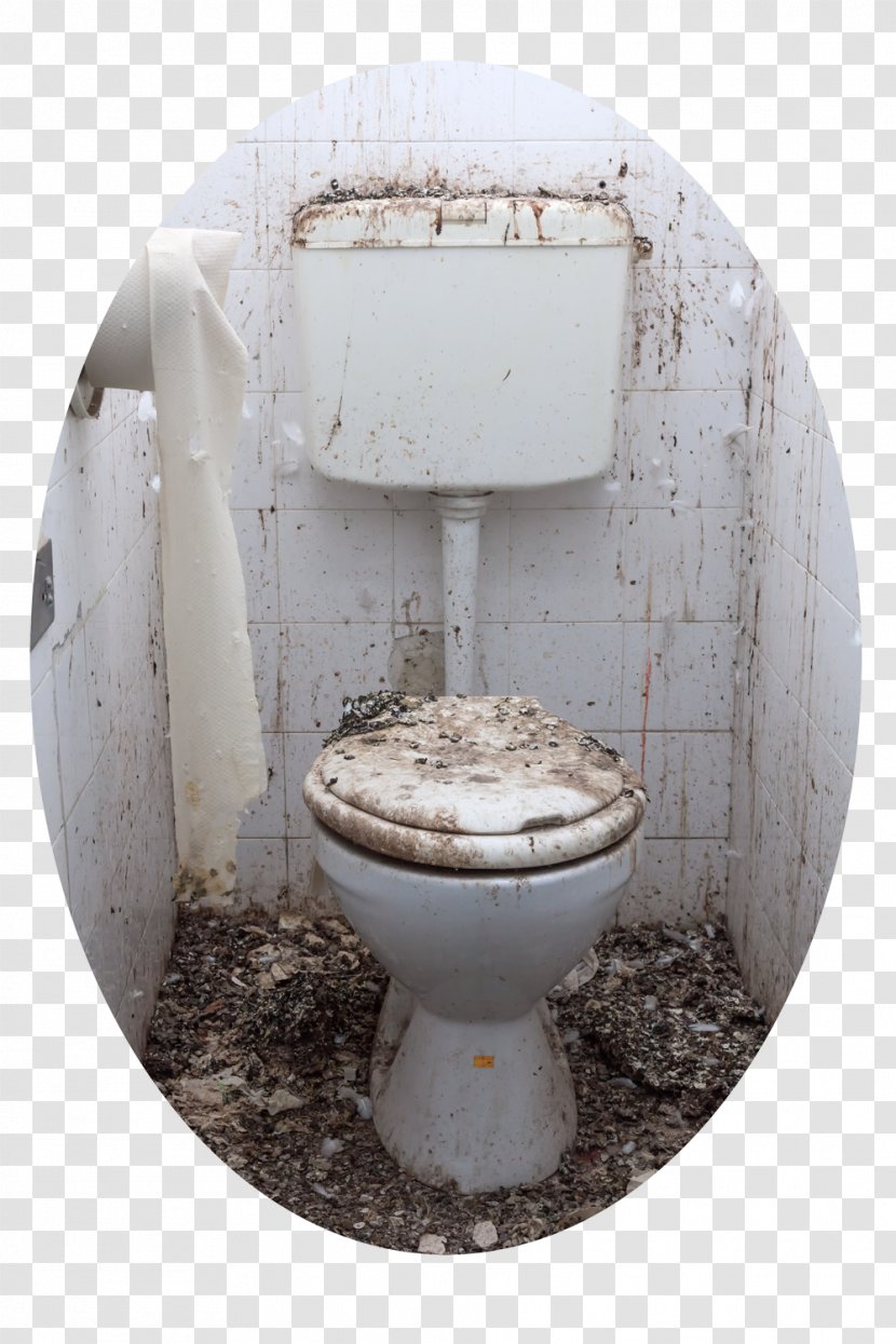 Public Toilet Bathroom Stock Photography Flush - Plumbing Fixture - Dirty Transparent PNG