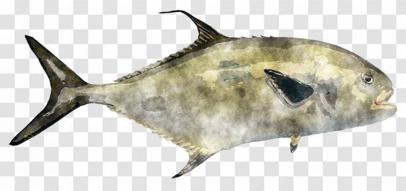 GOOD INSHORE FISHING Watercolor Painting Marine Mammal Biology - Deviantart - Fish Transparent PNG