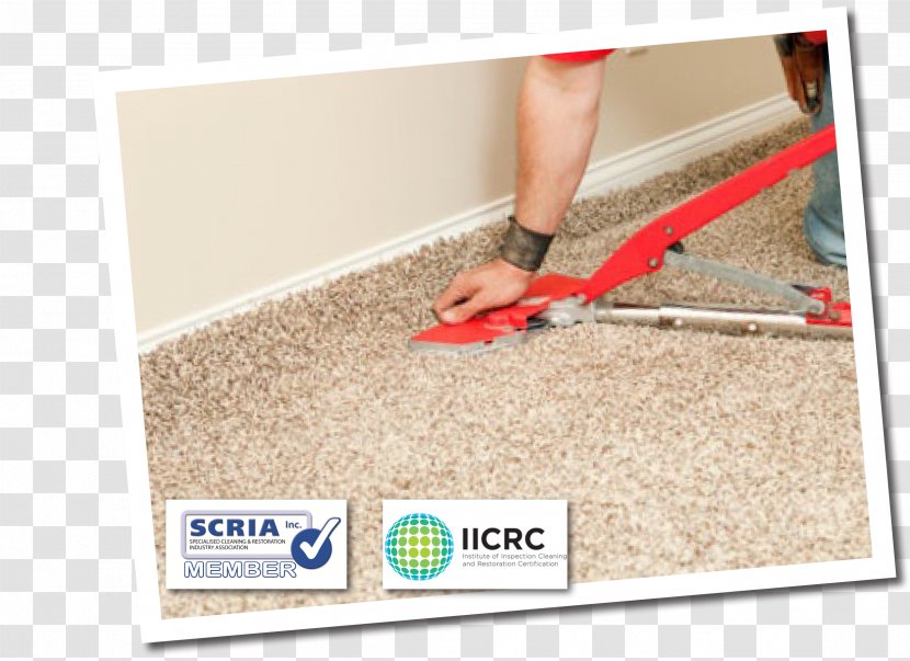 Carpet Cleaning Flooring Water Damage - Melbourne Transparent PNG