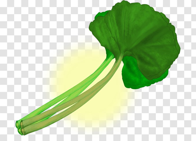 Fuki Nimono Sansai Vegetable - Green - Fool Transparent PNG