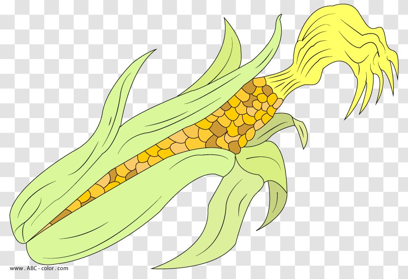 Drawing Maize Clip Art - Vegetable - Coloring Book Transparent PNG