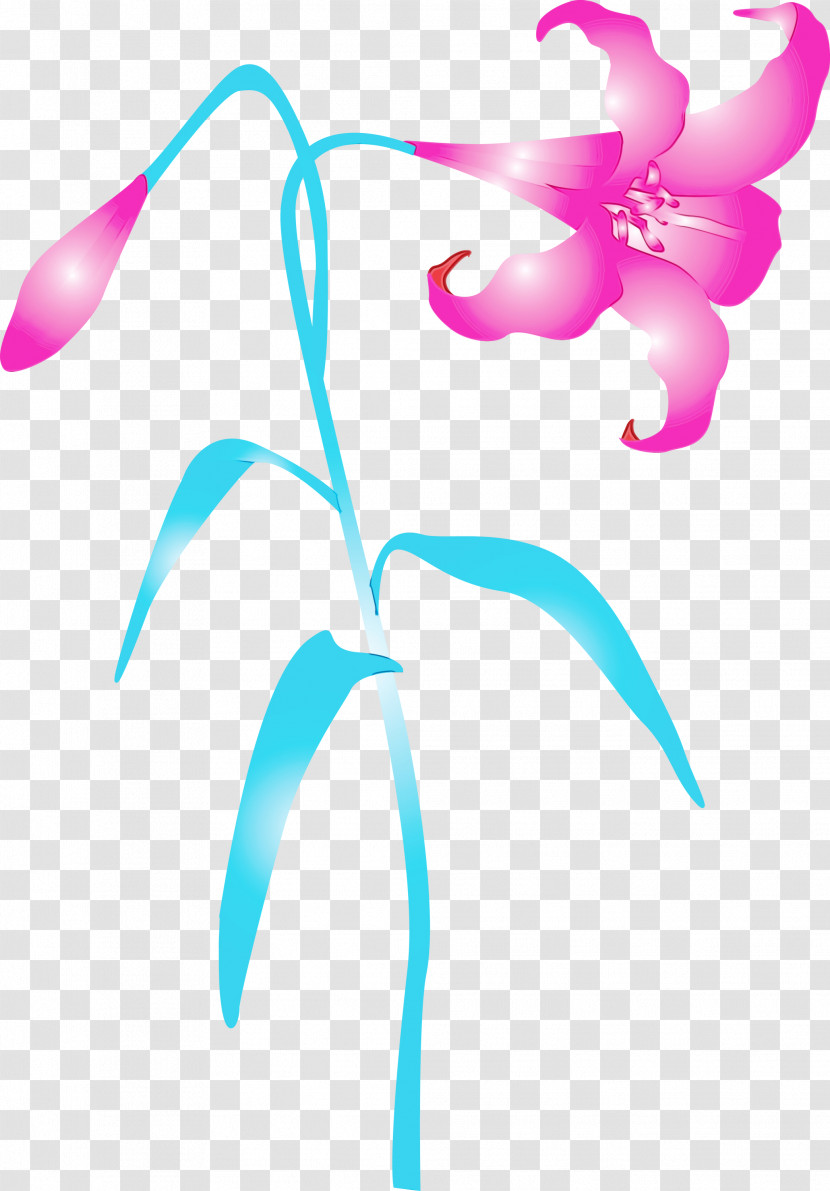 Pink Plant Flower Pedicel Magenta Transparent PNG