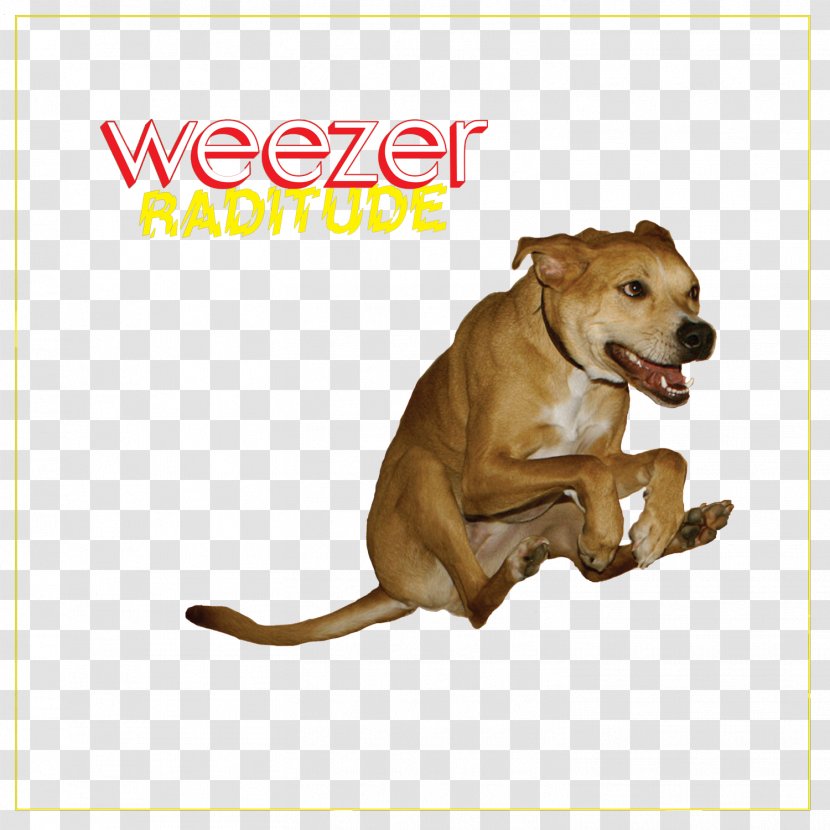 Weezer Raditude Album Buddy Holly Maladroit - Flower Transparent PNG