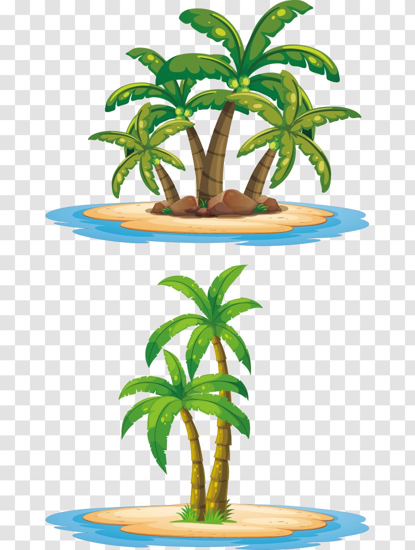 Island Arecaceae Illustration - Plant - Coconut Tree Vector Transparent PNG