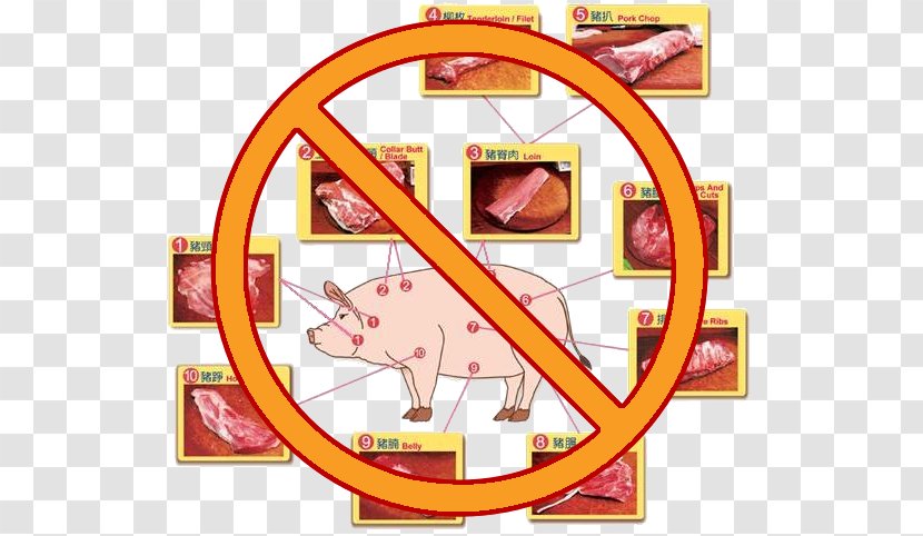 Pork Domestic Pig Eating Meat Food - Health Transparent PNG