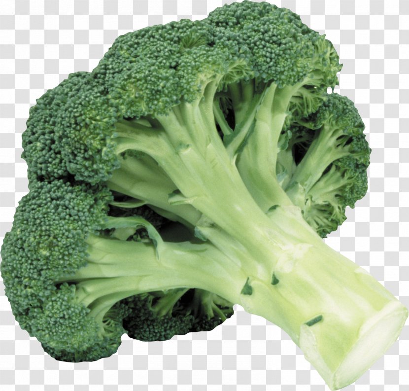 Broccoli Slaw Vegetable Clip Art - Food Transparent PNG