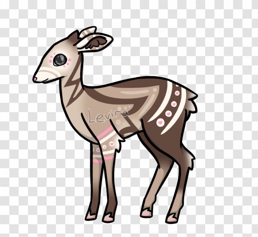 Musk Deer Reindeer Gazelle Clip Art - Cow Goat Family - Cute Transparent PNG