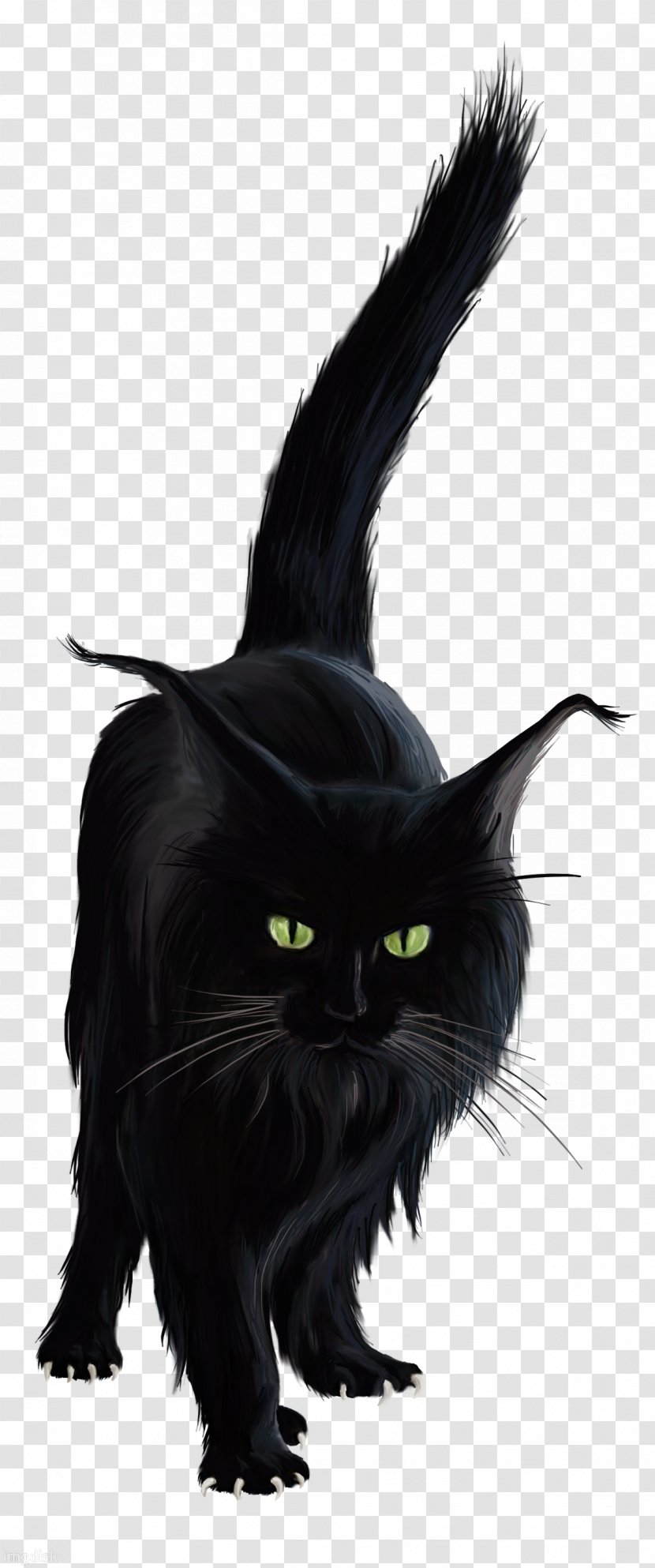 Bombay Cat Black Norwegian Forest Kitten Clip Art - Fur Transparent PNG