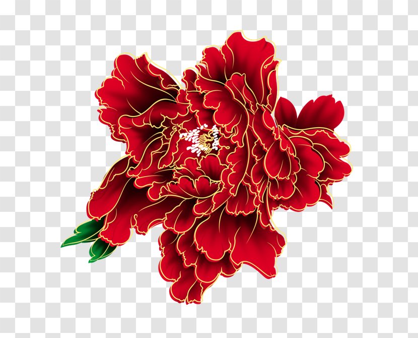 Moutan Peony Image Painting - Carnation - Flowers And Plants Transparent PNG