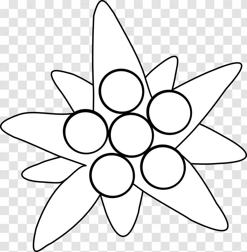 Clip Art Image - Flower - Edelweiss Transparent PNG