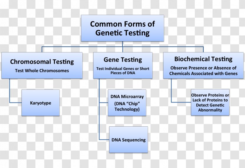 Line Organization Angle Diagram Brand - Communication - Dna Testing Transparent PNG