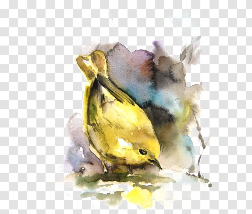 Bird Watercolor Painting Drawing - Yellow Sparrow Transparent PNG