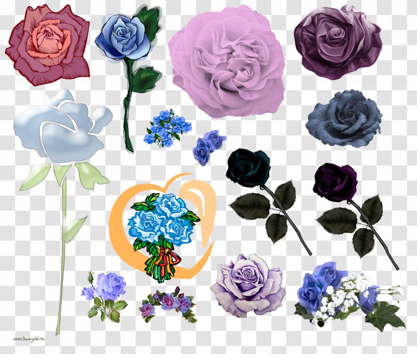 Garden Roses Floral Design Centifolia Cut Flowers - Picture Frames - Flower Transparent PNG