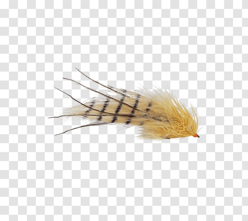 Magazine Holly Flies Fly Fishing Feather Issuu - Grass Family - Mount Springs Transparent PNG