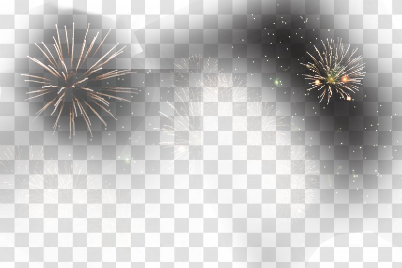 Fireworks - Gorgeous Effect Transparent PNG