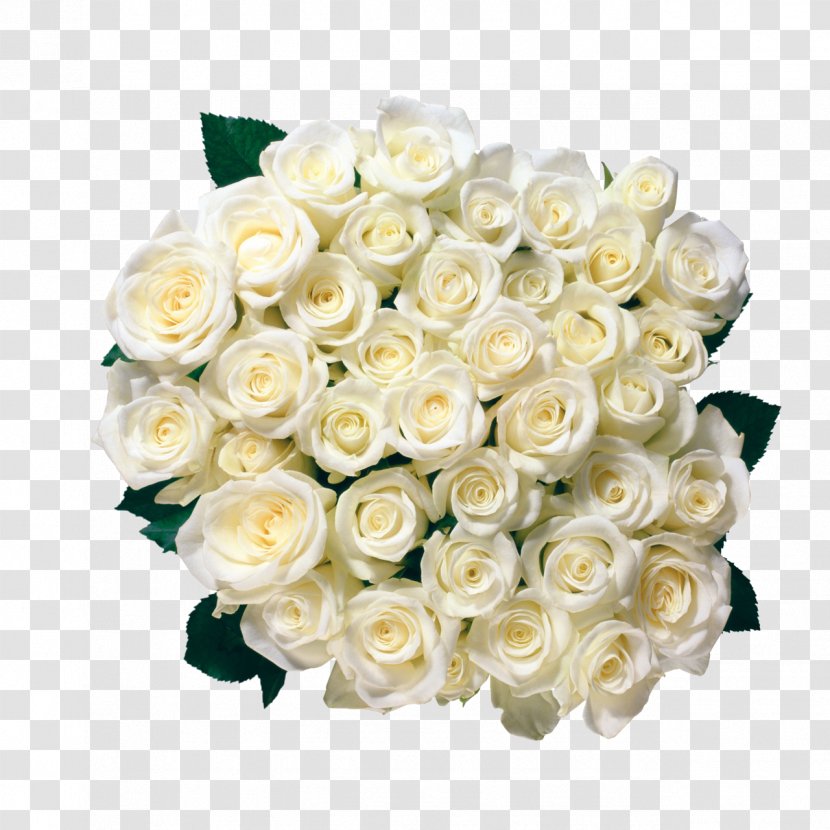 Rose Flower Bouquet Clip Art - Flowering Plant - White Transparent PNG