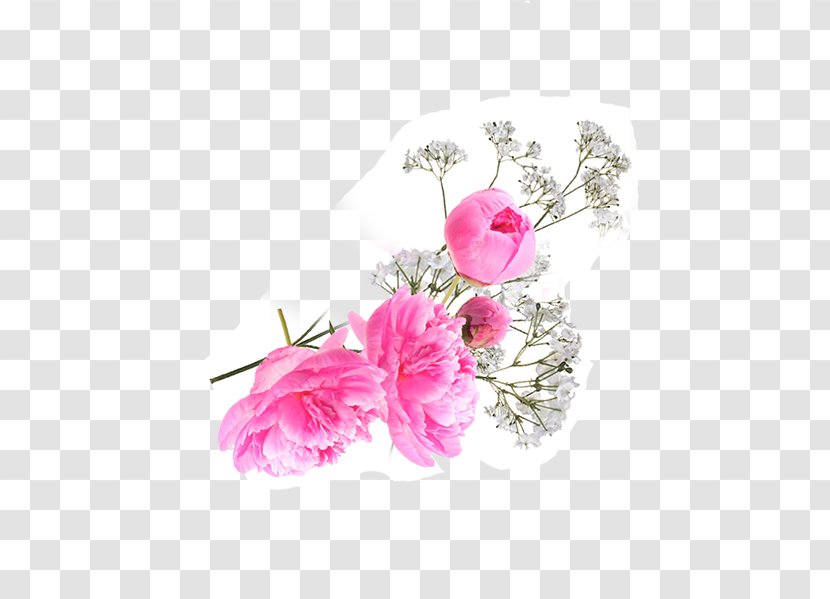 Garden Roses Floral Design Cut Flowers - Flowering Plant - Rose Transparent PNG