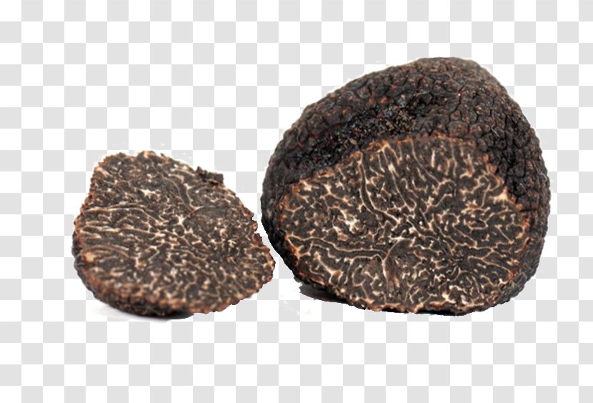 Périgord Black Truffle Piedmont White Tuber Aestivum Alba - Mesentericum - Truffles Transparent PNG